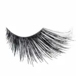 Kalentin Pestañas En Banda Fantasía Austin